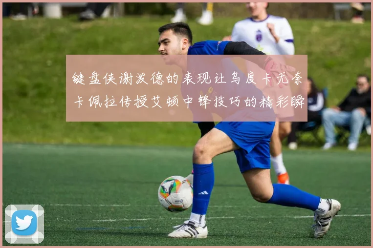 键盘侠谢泼德的表现让乌度卡无奈卡佩拉传授艾顿中锋技巧的精彩瞬间