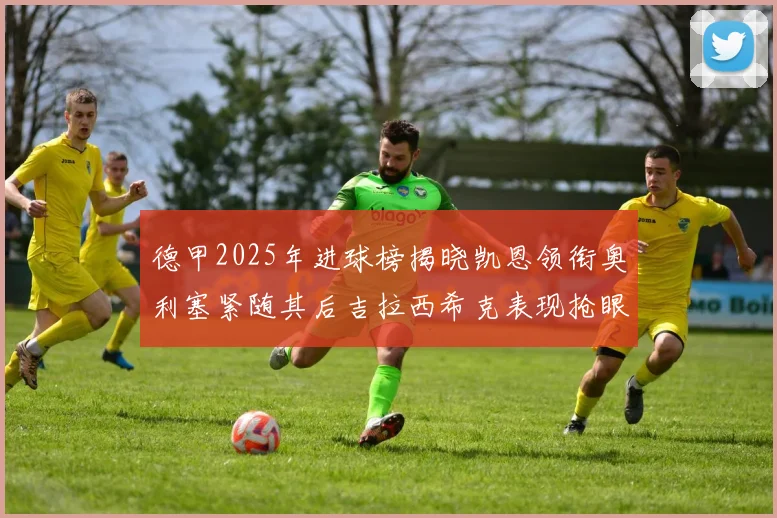 德甲2025年进球榜揭晓凯恩领衔奥利塞紧随其后吉拉西希克表现抢眼