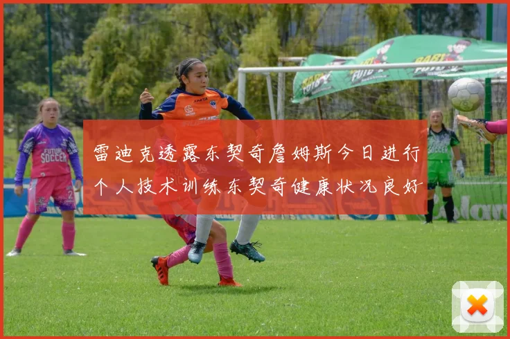 雷迪克透露东契奇詹姆斯今日进行个人技术训练东契奇健康状况良好