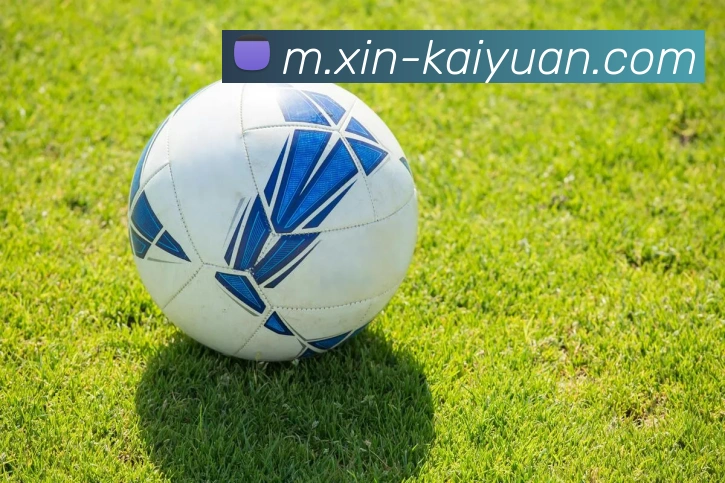 开元体育平台生态图